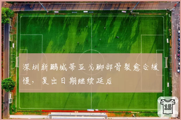 深圳新鹏城蒂亚戈脚部骨裂愈合缓慢，复出日期继续延后