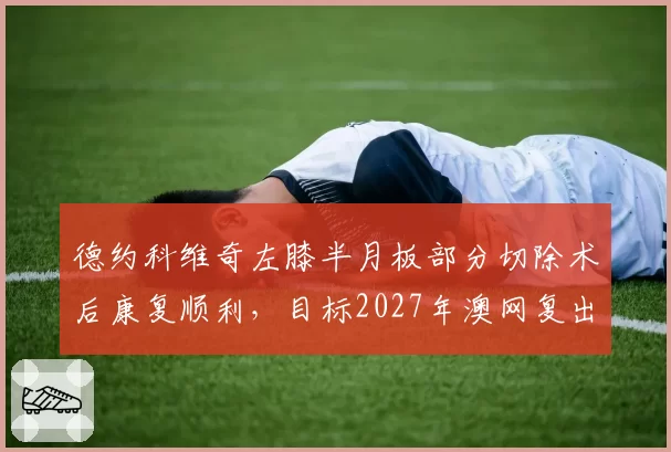 德约科维奇左膝半月板部分切除术后康复顺利,目标2027年澳网复出
